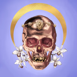 Sacred Skull #1901
