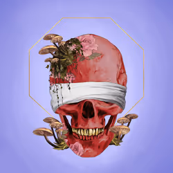 Sacred Skull #5659
