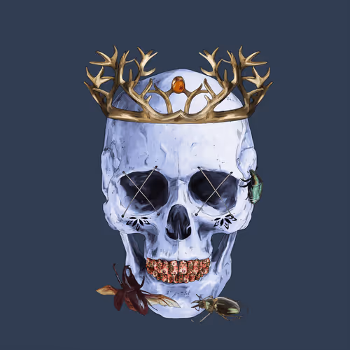 Sacred Skull #8870