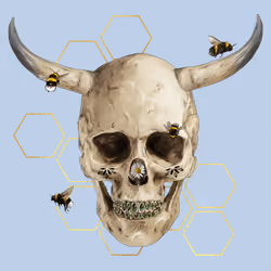Sacred Skull #3951
