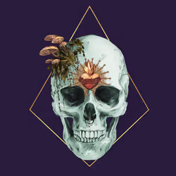 Sacred Skull #1066
