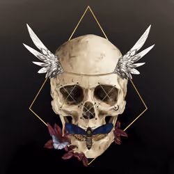Sacred Skull #276