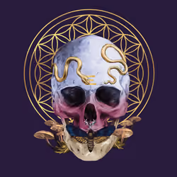 Sacred Skull #458