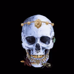 Sacred Skull #7993