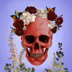 Sacred Skull #3433