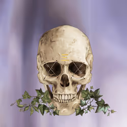 Sacred Skull #8086