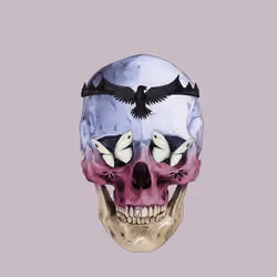 Sacred Skull #2696