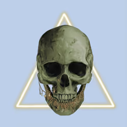 Sacred Skull #8521