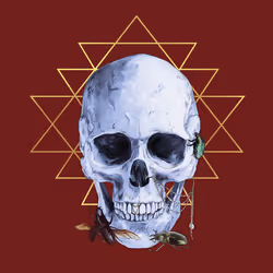 Sacred Skull #1991