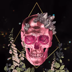 Sacred Skull #2570