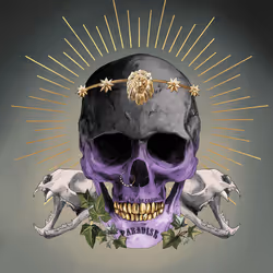 Sacred Skull #896