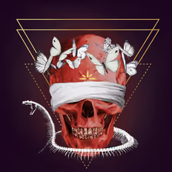 Sacred Skull #2003