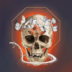Sacred Skull #4060