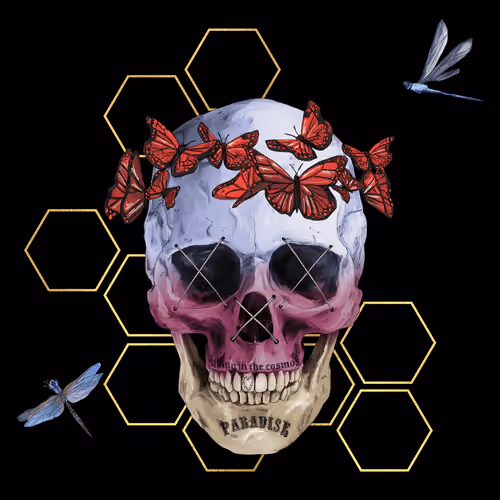 Sacred Skull #6413