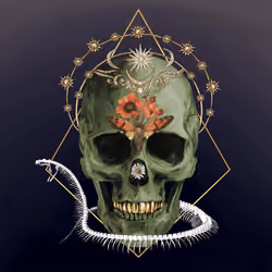 Sacred Skull #1734