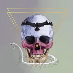 Sacred Skull #6982