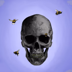 Sacred Skull #3397