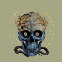 Sacred Skull #4849