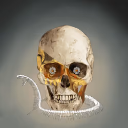Sacred Skull #5579