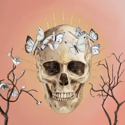 Sacred Skull #927
