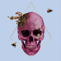 Sacred Skull #1480