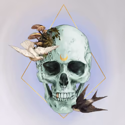 Sacred Skull #2893