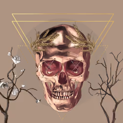 Sacred Skull #558