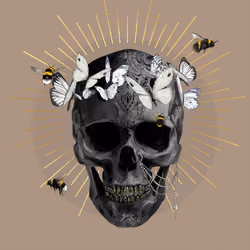 Sacred Skull #8871