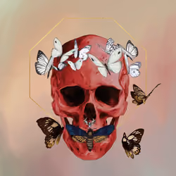 Sacred Skull #5404