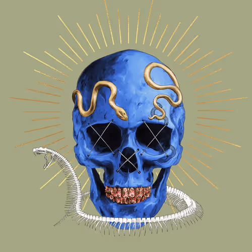 Sacred Skull #3537