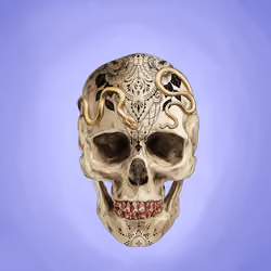 Sacred Skull #4926