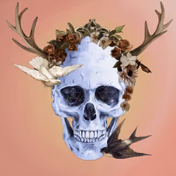Sacred Skull #4829