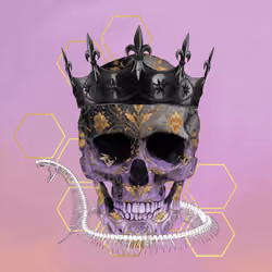 Sacred Skull #6522