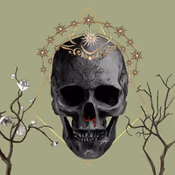Sacred Skull #5342