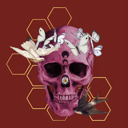 Sacred Skull #6279
