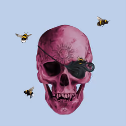 Sacred Skull #8812