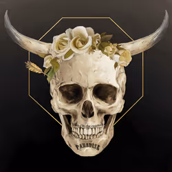 Sacred Skull #6769