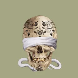 Sacred Skull #371