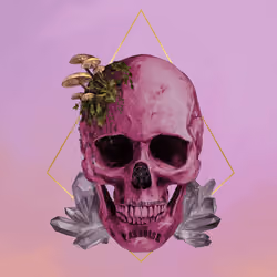 Sacred Skull #900