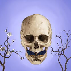 Sacred Skull #2607