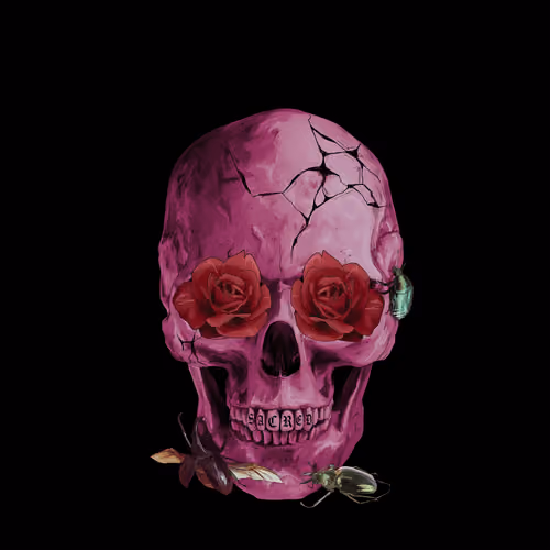 Sacred Skull #8795