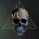566
