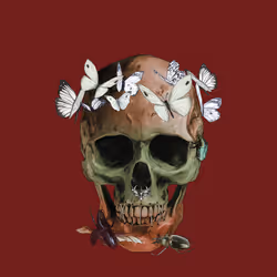 Sacred Skull #6531
