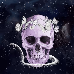 Sacred Skull #910