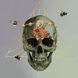 Sacred Skull #7017