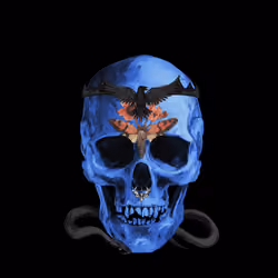 Sacred Skull #7825
