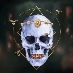 Sacred Skull #2912