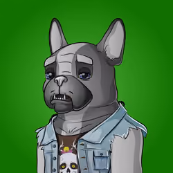 Bohemian Bulldog #5032