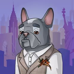Bohemian Bulldog #7593