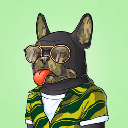 Bohemian Bulldog #8911